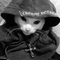 meow