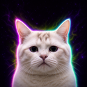 LONGCAT