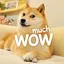 MUCHWOW / SOL