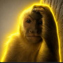Jorge