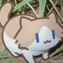 SalaryCat / SOL