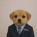 Startpup