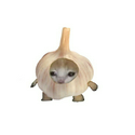 garliccat