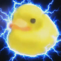 duck