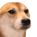 bopdog