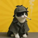 CIGCAT