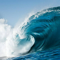 LIQUIDITY