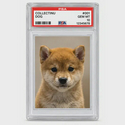 COLLECTINU / CARDS