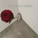 ILY