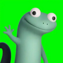 LIZARD