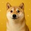 DOGEOS / SOL