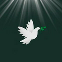 🕊️