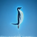 Ascend