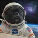 OSCAR