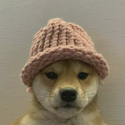 WIF