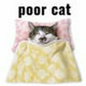POORCAT