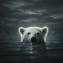 Bear / SOL