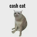 CASHCAT