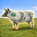 CashCow