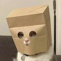 ZCAT / SOL