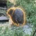 Chonketha