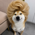 HAIRINU / SOL