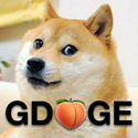 Gdoge