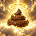 holyshit / SOL