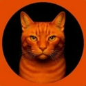 BILLI 