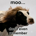 MOO