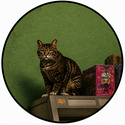 GATO