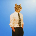 Feline