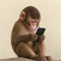 fone