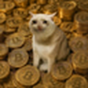 BITCAT