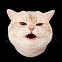 VRAX