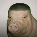 Pigger