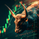 BULLRUN / SOL