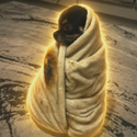 burritodog