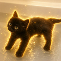 splashcat
