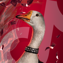 HONK