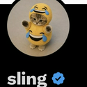 LMAOCAT