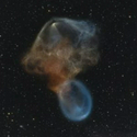 Jellyfish / SPCX