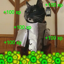 xp / SOL