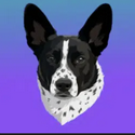 ADA