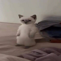 mimi / SOL