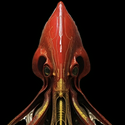 MASKMUSK