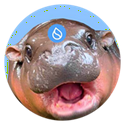 HIPPO / SUI